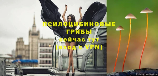 хмурый Иннополис