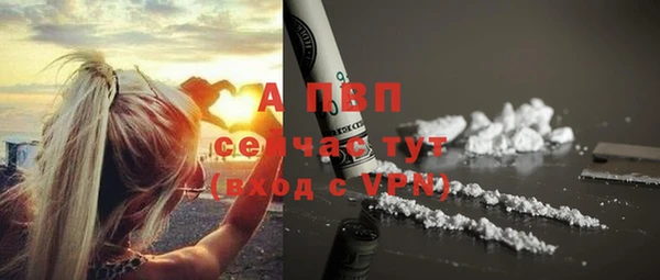 хмурый Иннополис