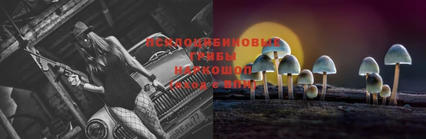 хмурый Иннополис
