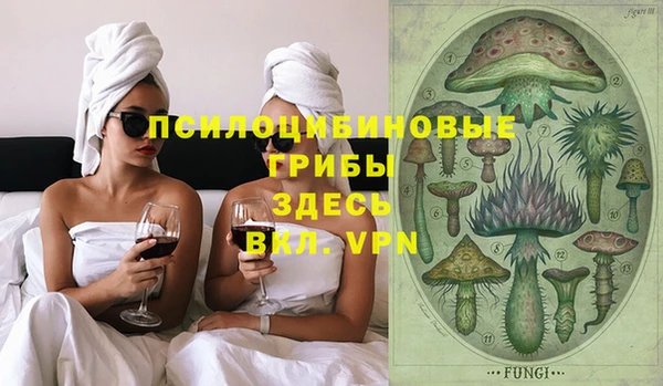 тгк Инта