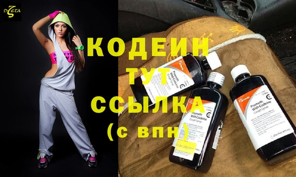 стафф Ельня