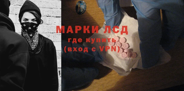 стафф Ельня