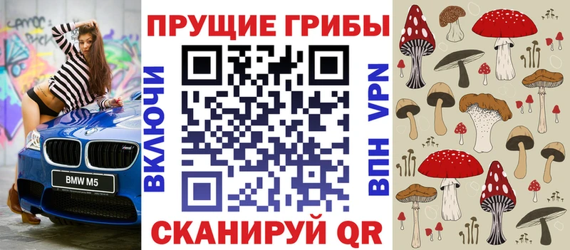 Галлюциногенные грибы Psilocybe  закладка  Киреевск 