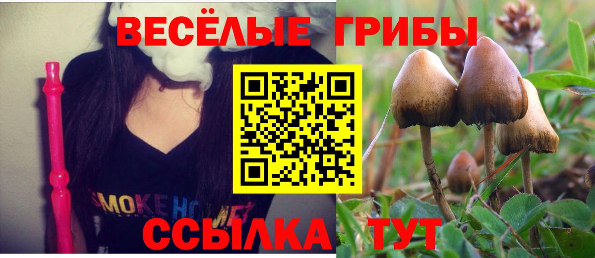 Киреевск  Псилоцибиновые грибы GOLDEN TEACHER  Галлюциногенные грибы Psilocybe  Вход с VPN 